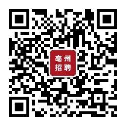 亳州市最新招聘動(dòng)態(tài)與人才市場分析概覽