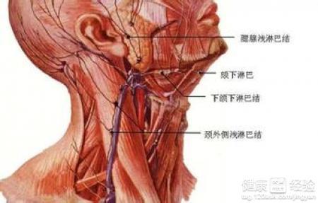 淋巴瘤最新研究進(jìn)展及治療方法概述