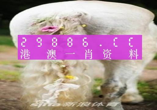 2024澳門必中一肖,準(zhǔn)確資料解釋落實_Essential53.195