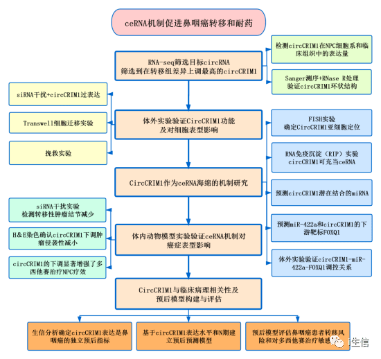 新澳資料正版免費資料,結構化推進評估_zShop74.783